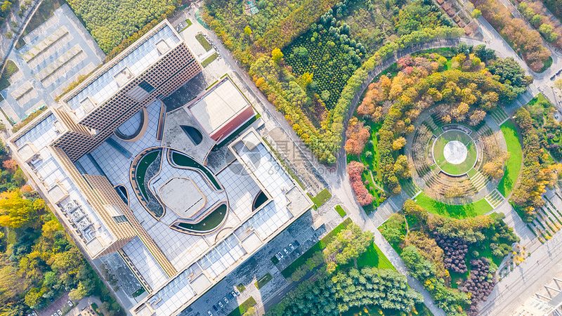 揭秘深圳电子科技公司排行榜：实力与趋势并存