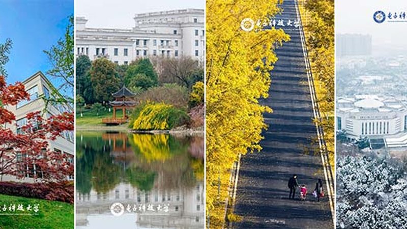 上海芯片设计公司分类解析：如何选择合适的设计方案